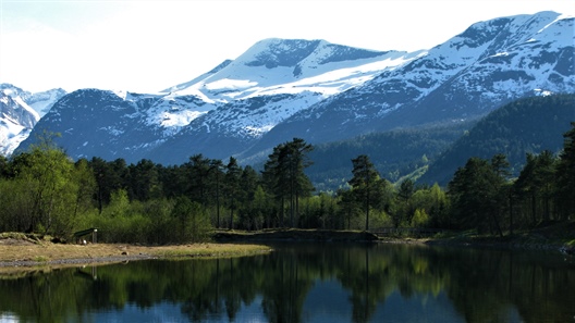 Reduced waterflow in a river after hydropower regulation induced evolutionary change in body size and sea-age of the Atlantic salmon population