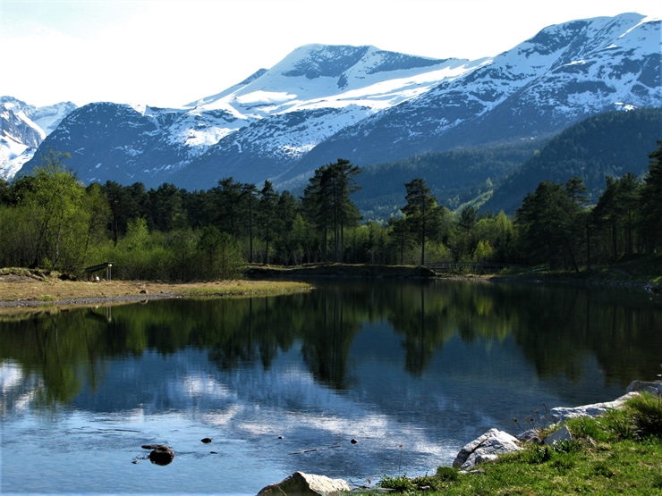 Reduced waterflow in a river after hydropower regulation induced evolutionary change in body size and sea-age of the Atlantic salmon population